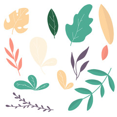leaves set vector illustrations