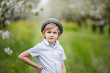cute happy boy of 6-7 years old in a white stylish shirt, and a hat on nature in the blooming cherry apple garden of early spring