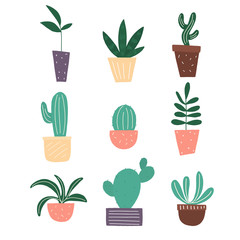 plants vector set with cactuses and flower in pots