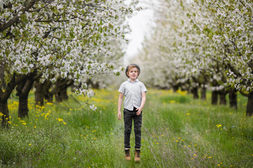 cute happy boy of 6-7 years old in a white stylish shirt, and a hat on nature in the blooming cherry apple garden of early spring