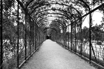 arch in the garden