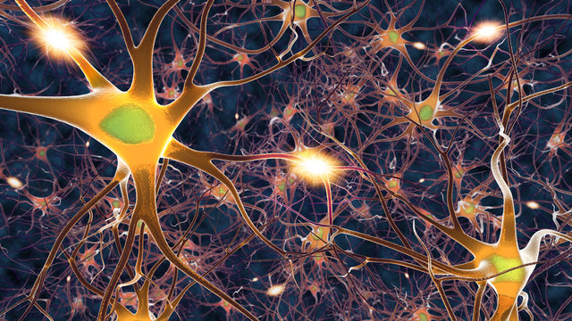 Nervenzellen in Aktion IV