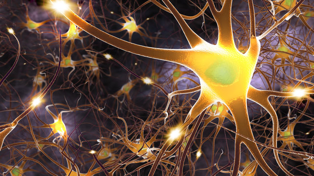 Nervenzellen in Aktion III