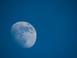 the moon in the early evening