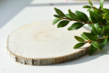 Wooden stand with green branches in the background