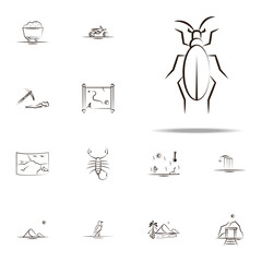 Fototapeta premium desert insect, beetle icon. Desert icons universal set for web and mobile