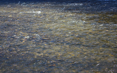 water in the river