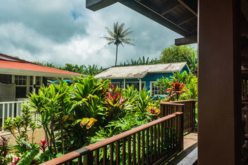 Fototapeta na wymiar Tropical vegetation in Hanalei, Kauai, Hawaii