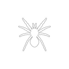 Fototapeta na wymiar Spider. flat vector icon