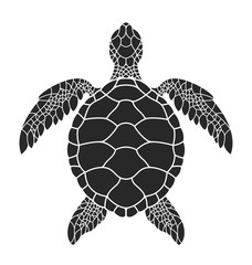 Fototapeta premium Sea turtle. Vector illustration