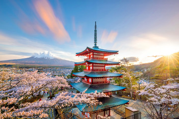 Mountain Fuji and Chureito red pagoda with cherry blossom sakura - obrazy, fototapety, plakaty