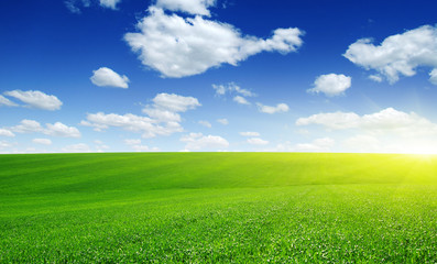 Green field and sun.