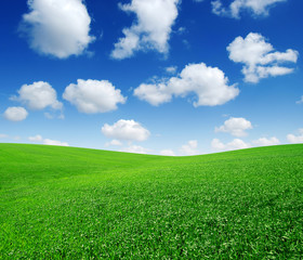 green field and blue sky