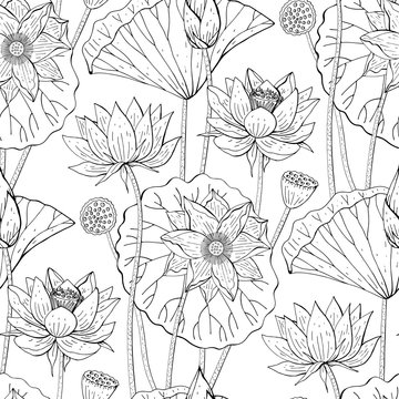 seamless floral pattern with lotus flowers on white background