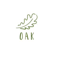 Template logo design with oak tree.