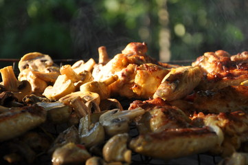 Assorted mixed grill on wooden skewers from chicken meat, lamb and pork, marinated spareribs, sausages and various vegetables roasting on barbecue grid cooked for summer family dinner
