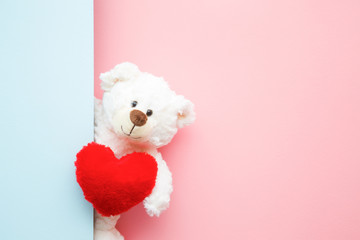 Smiling white teddy bear holding red soft heart and looking behind pastel blue wall. Mock up for...