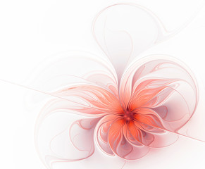Beautiful fractal flower on a white background color burgundy
