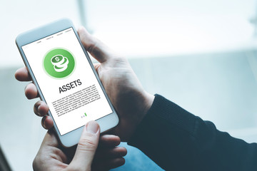 ASSETS CONCEPT ON SCREEN