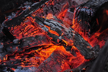 Beautiful color of burning red coals and black charred wood.
