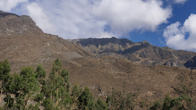 Obrajillo 이미지 찾아보기 117 스톡 사진, 벡터 및 비디오 Adobe Stock