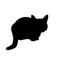 Silhouette cat vector