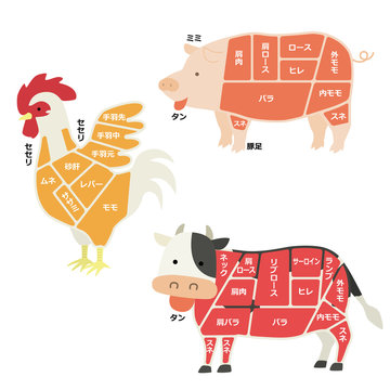 部位 Images Browse 1 941 Stock Photos Vectors And Video Adobe Stock