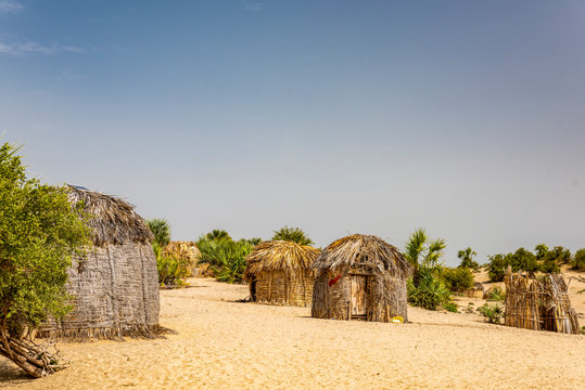 Village of traditional round bomas of the semi-nomadic Turkana people, on shores of Lake Turkana, Kenya. The small dwellings are constructed from doum palm fronds, animal skins and timber. 