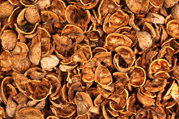 Broken walnut shells as background