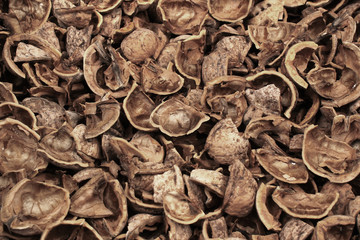 Broken walnut shells as background