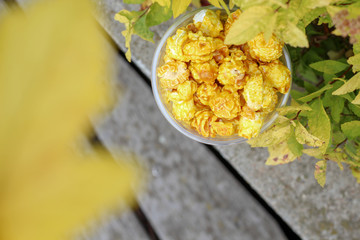 Golden colored popcorn in jar outside in the park