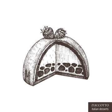 Hand drawn illustration of Zuccotto. Vector drawing of italian desserts on white background. 