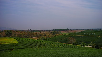 Fototapeta na wymiar panoramic view of countryside