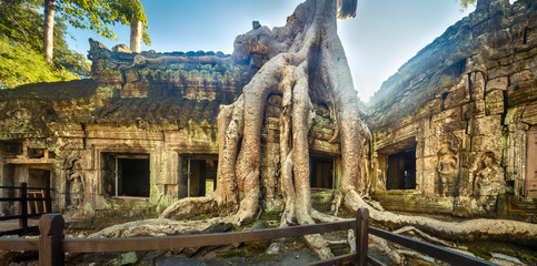 Ta Prohm temple panorama. Siem Reap. Cambodia
