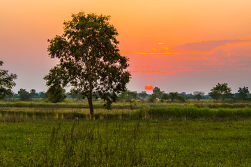 Fototapeta na wymiar Beautiful sunsets in the countryside.3
