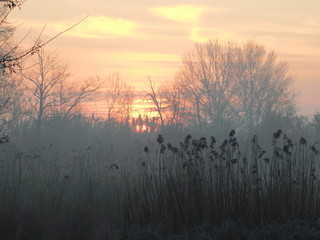 i colori dell'alba in inverno