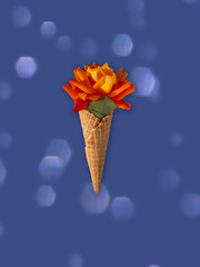 Rose auf blauen Hintergrund.