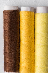 Row of multicolored warm complementary color palette sewing threads on cardboard spools. Crafts hobbies local artisan business interior decoration concept. Clean minimalist style copy space.