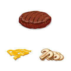 Vector design of burger and sandwich symbol. Collection of burger and slice stock symbol for web.