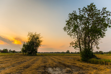 Fototapeta na wymiar Beautiful sunsets in the countryside.46