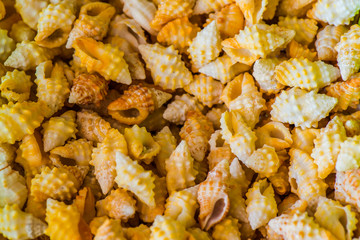 Home Decoration Items from Shell 8