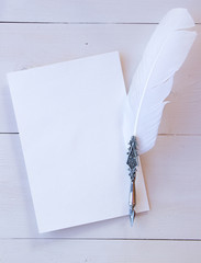 Blank album sheet for your text, copy past and mock up for your romantic and poetry design. Vintage feather, old style, writing materials