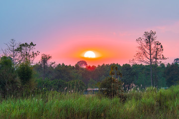 Beautiful sunsets in the countryside.47