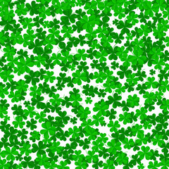 Clover leaves on a green background with three-leafed trefoils. St. Patrick's Day holiday symbol. holiday background