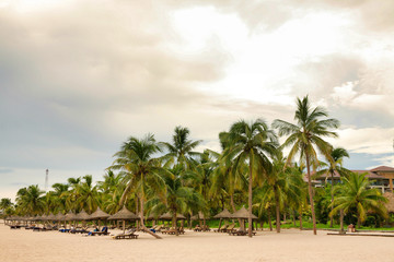 Obraz na płótnie Canvas Palm trees and beach chairs on a deserted beach on Hainan Island.