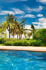 Obraz premium View of palm trees and blue sky from the crystal clear pool. Hainan. 