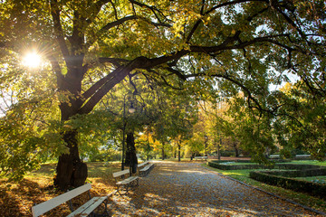 Park Ujazdowski Warszawa 5