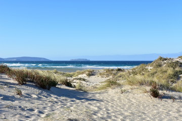 Wild beach with sand dunes and grass. Blue sea with waves and white foam, clear sky, sunny day. Galicia, Spain.
