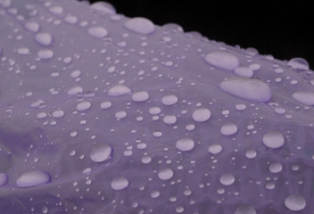 Drops of condensation on the polyethylene film close up