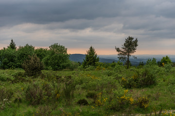 Fototapeta na wymiar Teutoburg Forest view of Velmerstot hill, Germany